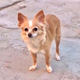 Ivn_lv's profile picture. ‘sup dawg