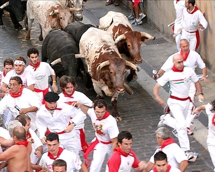 Travel with Pamplona's #1 tour company. Package trips to run with the bulls or watch from a private balcony. Tel 1.888.825.4720 email info@pamplona-spain.com