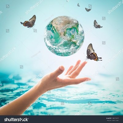 iCareCounselNE's profile picture. 