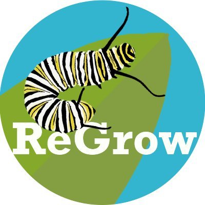 MSU ReGrow Milkweed for Monarchs: A Citizen Science Study.                           Please visit our website to get involved!