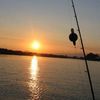 Professional Catfish guides on the mighty River Ebro in Spain