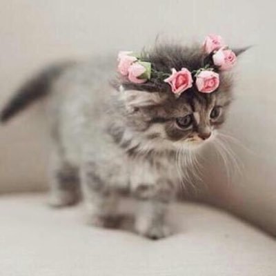 chijiokenwogbo's profile picture. 