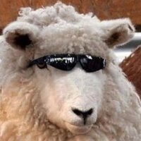 Gezirgân (@gezirgan) 's Twitter Profile Photo Gezirgân (@gezirgan) 's Twitter Profile Photo
