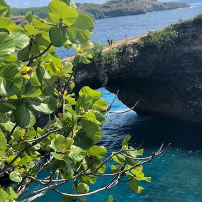 A_d4415's profile picture. 