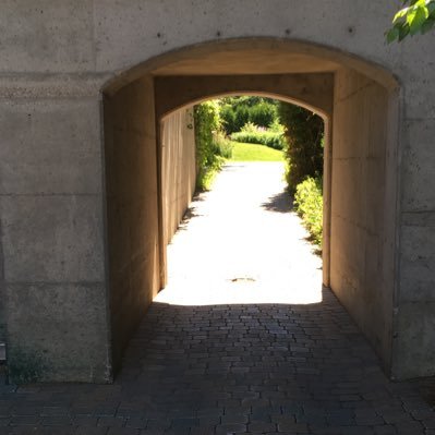 DenB15704689's profile picture. Analyste.