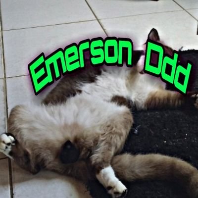 iae manos meu nome e ermeson e sou fan do gurlart