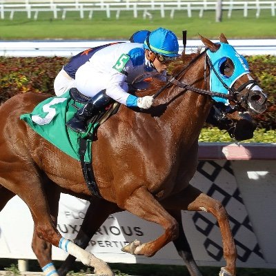 ProRacing Stable LLC
Stable Based Fl @gulfstreamPark
We Claim! We Run! WE WIN!!