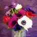 Brecon Blooms (@breconblooms) Twitter profile photo Brecon Blooms (@breconblooms) Twitter profile photo