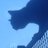 ramonakias's profile image
