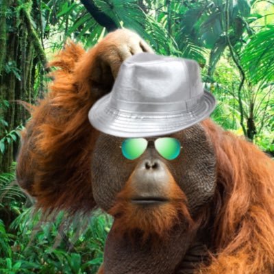 grooviest ape in jungle, bab y