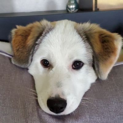 swasny's profile picture. live love and laugh. there is always something to be grateful for.