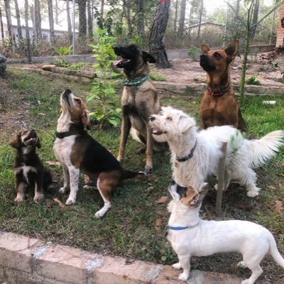 KarlaaFlores7's profile picture. 