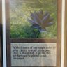 tcgcolle's profile picture. 息子が興味を持ったため、20年位前に引退したmtgに復帰しました。しかし永遠の初心者です。mtgやポケカのパック開封が好きです。転売ヤーが大嫌いです。無言フォロー、いいね失礼致します。