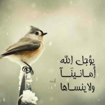 مَّا يَلْفِظُ مِن قَوْلٍ إِلَّا لَدَيْهِ رَقِيبٌ عَتِيدٌ