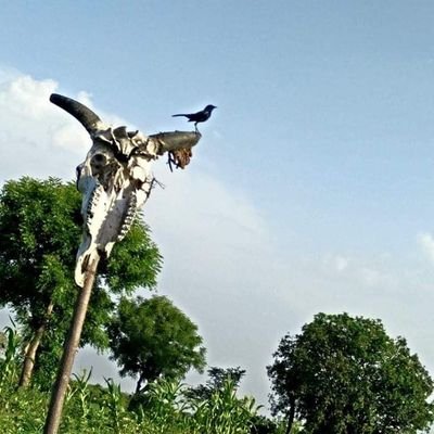 @iamdeepak
Investor 📈📉 Traveller 🌍 A young farmer🌾🌱
