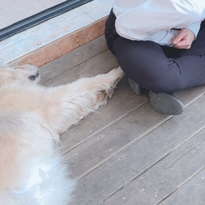 flowly__'s profile picture. 