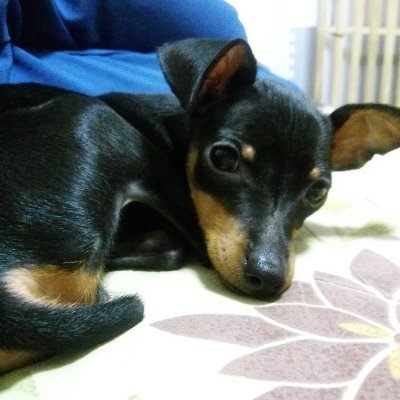 Gp0ZXQOFavNpTub's profile picture. enjoy stay  home