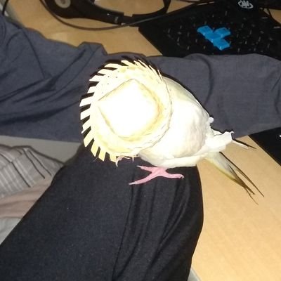 THEDESTROYER002's profile picture. 