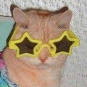 nonbinarycat_'s profile picture. 