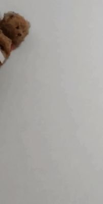 kanompungq's profile picture. 
