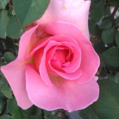 a6BpjsGwHdtXmZ1's profile picture. 自然とお酒が好き。最近、城下町にも興味あります