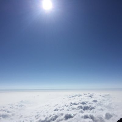 secondgroup_ou's profile picture. 阪大基礎工シス科2組フラ語