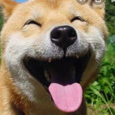 JISJPXkgCGf172k's profile picture. 