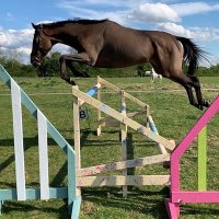 Steve Ramsey (@stevera71619956) 's Twitter Profile