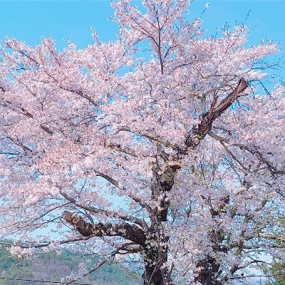 Eeeさんのプロフィール画像
