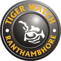 Tiger Watch(@watch_tiger) 's Twitter Profile Photo