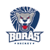 BoråsHockey (@BorasHC) Twitter profile photo