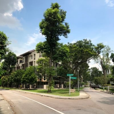 Xuyingjiong117's profile picture. 