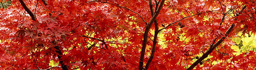 LearnTheRules's profile picture. Public Educator (consumer protection, finance, affordable housing)