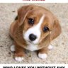 rajeshmashelkar's profile picture. ... in search of the truth...and dont forget... animals are our family members....care them.....Don't expect me to be nice to fascists and their collaborators -