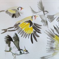 Max Peat Field (@pj_max) 's Twitter Profile