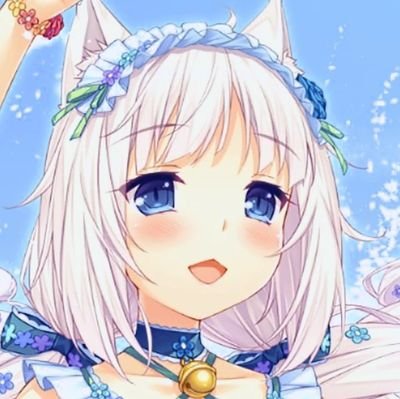 プルメイ@バニラは俺の嫁猫さんのプロフィール画像