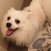 Yaowei Zhang (@yaowayy) Twitter profile photo Yaowei Zhang (@yaowayy) Twitter profile photo