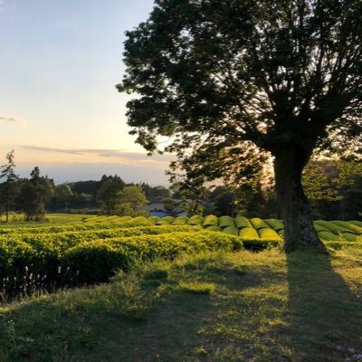 rubi_t_arms's profile picture. 最近ライブ行き過ぎ問題