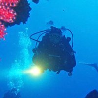 Steffen Frost (@steffenfrost7) 's Twitter Profile Photo