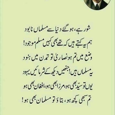 jinnipoot's profile picture. hey there! I’m a human