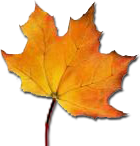 CanRegistrar's profile picture. For the professional development of museum registrars & collections professionals throughout Canada. Tweets by Stephanie Allen.