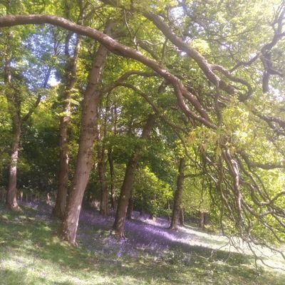 Event organiser #Music #Countryside #HeritageConservation #Gardens