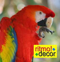 RITMO! DECOR® is a fusion of decorative elemental event design concepts inspired by sexy tropical destinations for special events. Tel: 305-298-2380