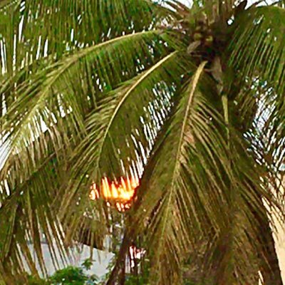 geetsid's profile picture. Curious human being