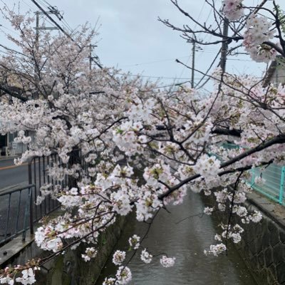 ruka_120's profile picture. 