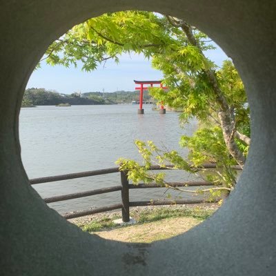 3NmNwHLeTzHFutp's profile picture. 