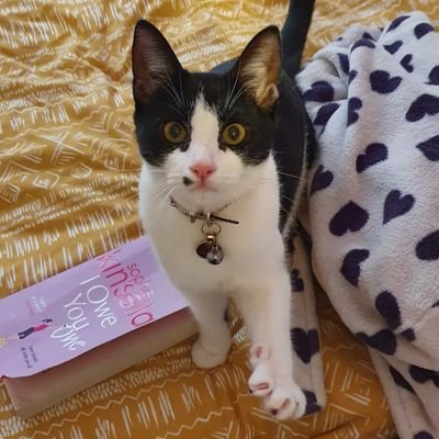 Laura Oakley On Twitter Cummon Now It S Time For Major Kick Ass Coybig Cummon Well Be There For You Xx twitter