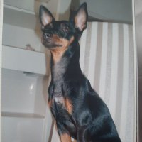 Cenza7 (@cenza_777) 's Twitter Profile Photo