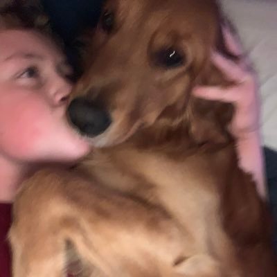 Corona69653974's profile picture. 