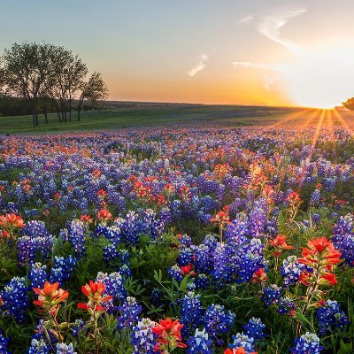 craven_elida's profile picture. Critical Thinker | Lover | Dreamer | Reader | Nature Enthusiast | Crypto CPA | Entrepreneur